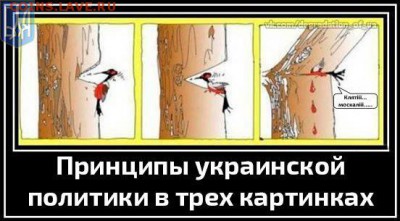 Ну а теперь про Украину - клм