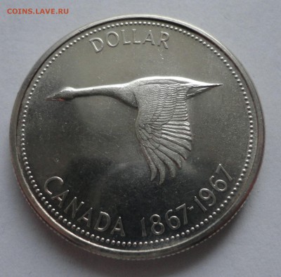 Канада. 1 доллар. 1967 год. до 26.03.2015 г. - DSC00333.JPG
