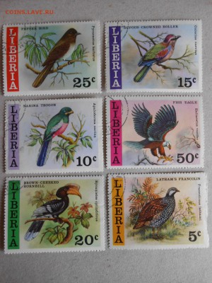 ПТИЦЫ, ЛИБЕРИЯ, 6 шт., до 28.03.2015 - DSCN6248.JPG