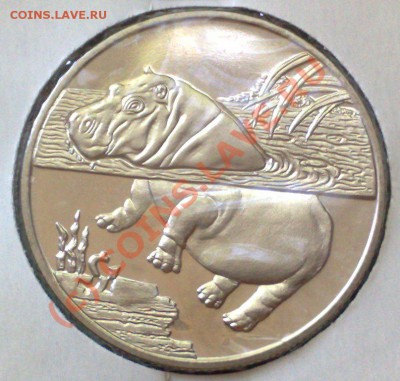 Сьерра-Леоне 1 доллар 2005 Бегемот 17.06 21.00 - Сьерра-2005 Бегемот-1