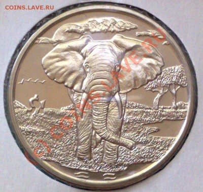 Сьерра-Леоне 1 доллар 2006 Слон 17.06 21.00 - Сьерра-2006 Слон-1
