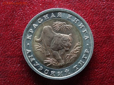 КК 10р 1992 Тигр UNC+ до 26.03 22:00 МСК - DSC05837