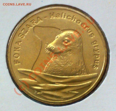 Польша 2 злотых 2007 Серый тюлень 17.06 21.00 - Польша 2007 Тюлень-1