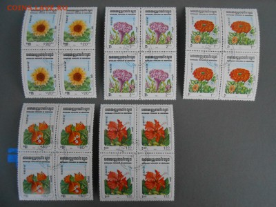 Цветы, 5 квартблоков Кампучия, до 29.03.2015 - DSCN6280.JPG