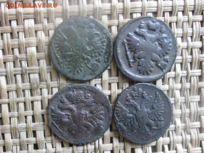 Деньга, 4 шт. 1730, 1737, 1739 и 1749г. До 30.03.2015г. - 29-31 026.JPG