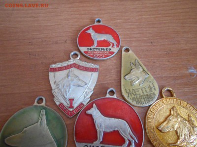 Собачьи жетоны ссср 26.03.15. - DSCN2049[1].JPG