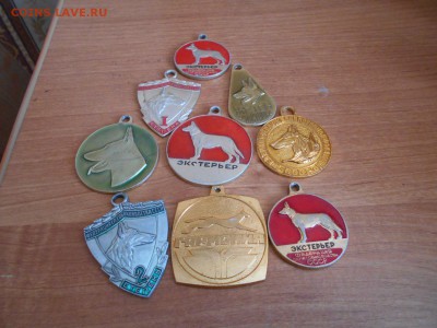 Собачьи жетоны ссср 26.03.15. - DSCN2048[1].JPG