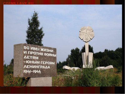 Жетон 70 лет победы в ВОВ. - img10