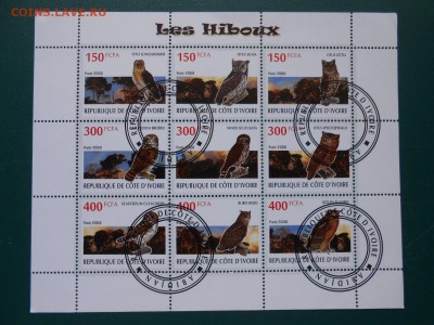 СОВЫ, малый лист, Кот Дивуар, до 30.03.2015 - DSCN5980.JPG