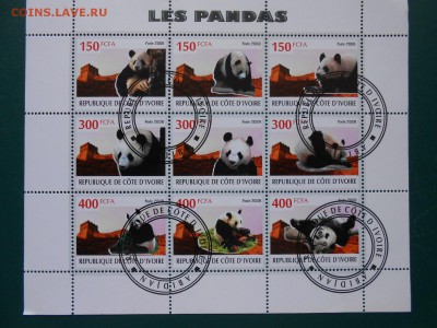 ПАНДЫ, малый лист, Кот Дивуар, до 31.03.2015 - DSCN5981.JPG