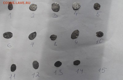 Чешуя. - DSCF7029.JPG