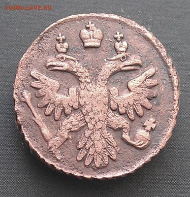 Полушки 1730-1754 годов. Галерея - IMAG2212