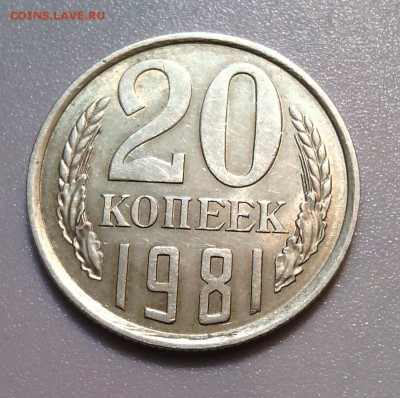 20 к. 1981 Федорин №-140 Л.с шт.1.2 Ф-89 - IMG_20150325_221245