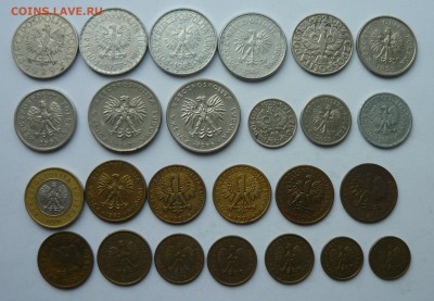 Лот монет Польша  до 01.04.15г 22.00 мск - P1020725.JPG