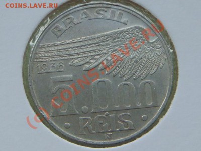 Бразилия. - DSC05727.JPG