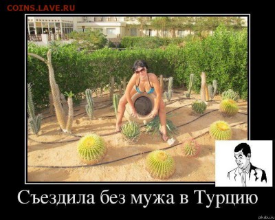 юмор - 55520565-x2q