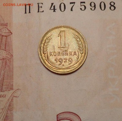 1 коп 1929 г ( XF)___до 27.03.15 - CIMG0903.JPG