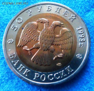 Красная Книга 93 К.ТЕТЕРЕВ до 02.04.15 22-00 МСК - SAM_0083.JPG