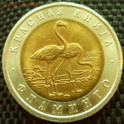 Красная Книга 1994 Зубр,Фламинго,Сапсан до29.03.15в22.00МСК - SAM_4661.JPG