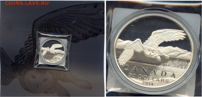 Канада. $50 за $50.#01-Полярная Сова. до 02.04.15 в 22.00 - file