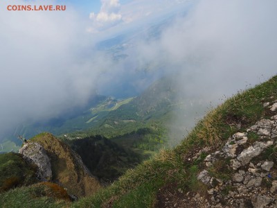 Посоветуйте какой фотоаппарат купить(не зеркалка) - T_P6010740_filtered