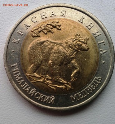 Красная книга 1993  Гималайский медведь .короткий - IMG_20150323_091229-1