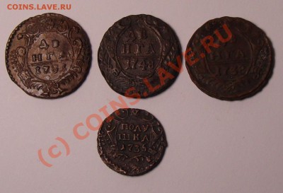 Денга 1731,38,48, полушка 1735 до 22-00 ч.мсв 19.06.10 - Денги и полушка р