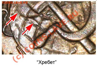 "хребет" - Hrebet