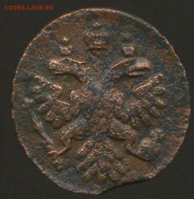 Полушки 1734,36,37,41г до 01.04.2015г 22.00мск - img071