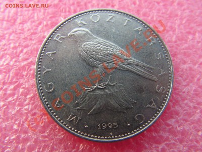 -Венгрия- 50 форинт 1995 -- 18 июня 21-00 - PICT0719.JPG