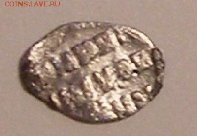 чешуйки на определение - чеш16