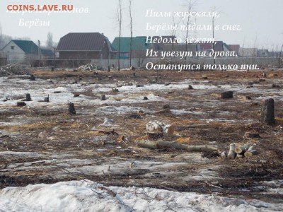 делает - прямо сейчас !!! - image