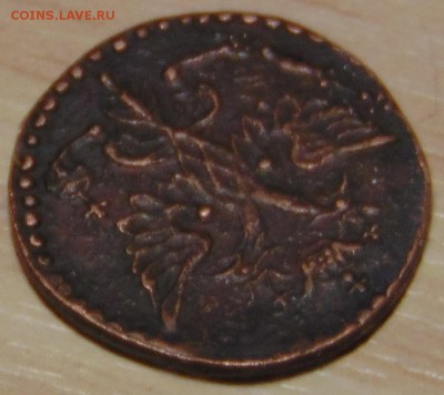 Полушка 1718  Опознание оценка - DSC01187.JPG