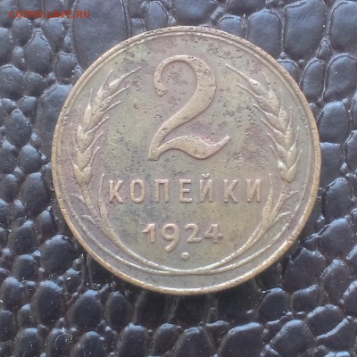 2 копейки 1924 года. оценка - IMAG1694