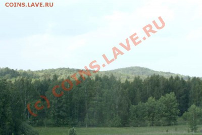 ФОТО - просто фото. Те что получились удачными. - 50