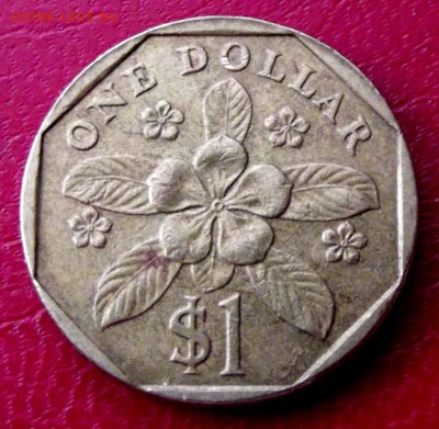 Сингапур 1 доллар 1995г. до 4.04.15г. до 22-00 - DSCF2669.JPG