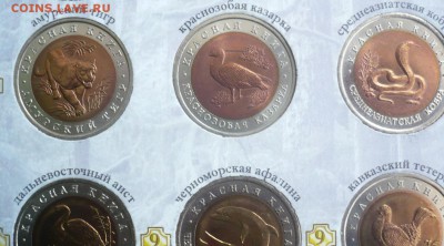 Набор "Красная книга" . Оценка - P1050322.JPG