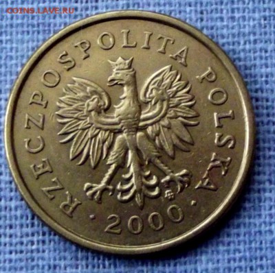 Польша 5 грошей  до 4.04.15г. до 22-00 - DSCF2900.JPG