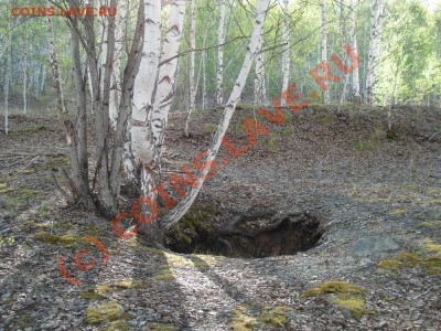 ФОТО - просто фото. Те что получились удачными. - 1.JPG