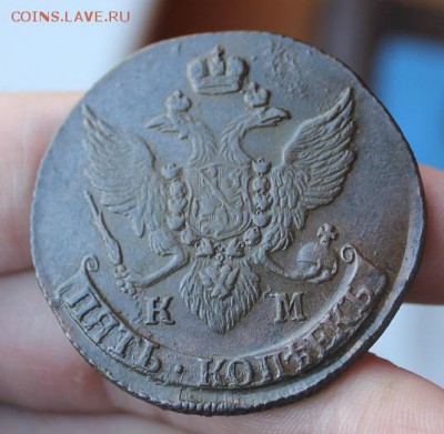 5 копеек 1796 КМ, из Альбома, до 05.04.2015, 22.30 мск - IMG_6801.JPG