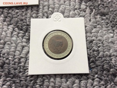 Красная книга АМУРСКИЙ ТИГР до 05.04.2015 21:00 МСК - IMG_2115.JPG