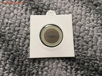 Красная книга КРАСНОЗОБАЯ КАЗАРКА до 05.04.2015 21:00 МСК - IMG_2117.JPG