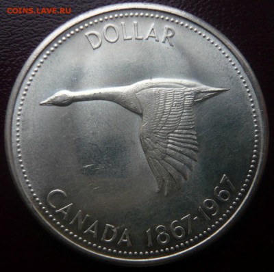 1 Dollar Ag Канада - 100 лет конфедерации (Гусь) - P1120434.JPG