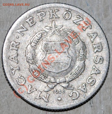 Лот Венгрии 19.06.10 в 21МСК - DSC_0055