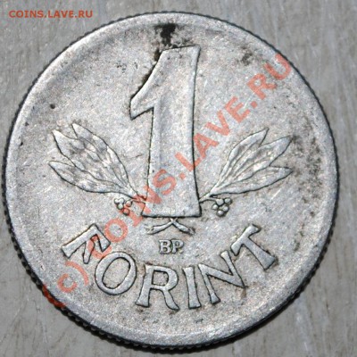 Лот Венгрии 19.06.10 в 21МСК - DSC_0054