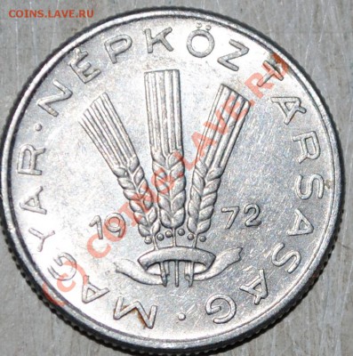 Лот Венгрии 19.06.10 в 21МСК - DSC_0049