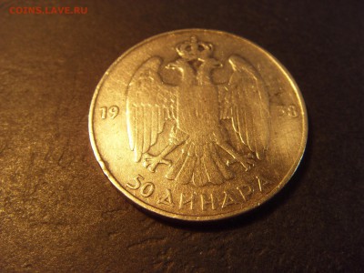 50 динаров 1938 года . Югославия. до 22-00 мск 03.04.15 г - SDC11533.JPG