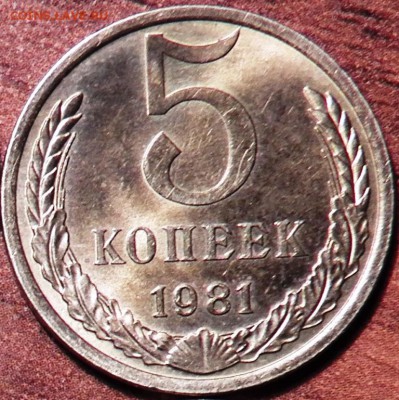 5 коп 1981 г - 100_1325