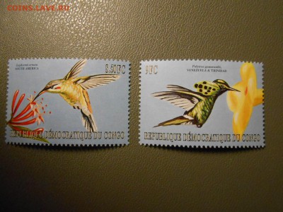 КОЛИБРИ, Конго, чистые, до 05.04.2015 - DSCN6388.JPG