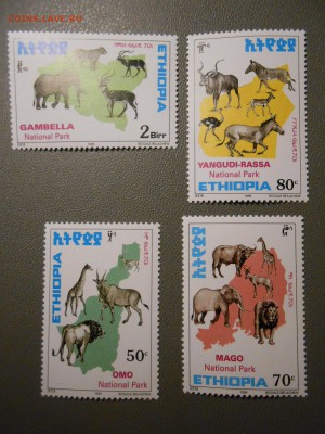 НАЦИОНАЛЬНЫЕ ПАРКИ, Эфиопия, чистые, до 05.04.2015 - DSCN6398.JPG